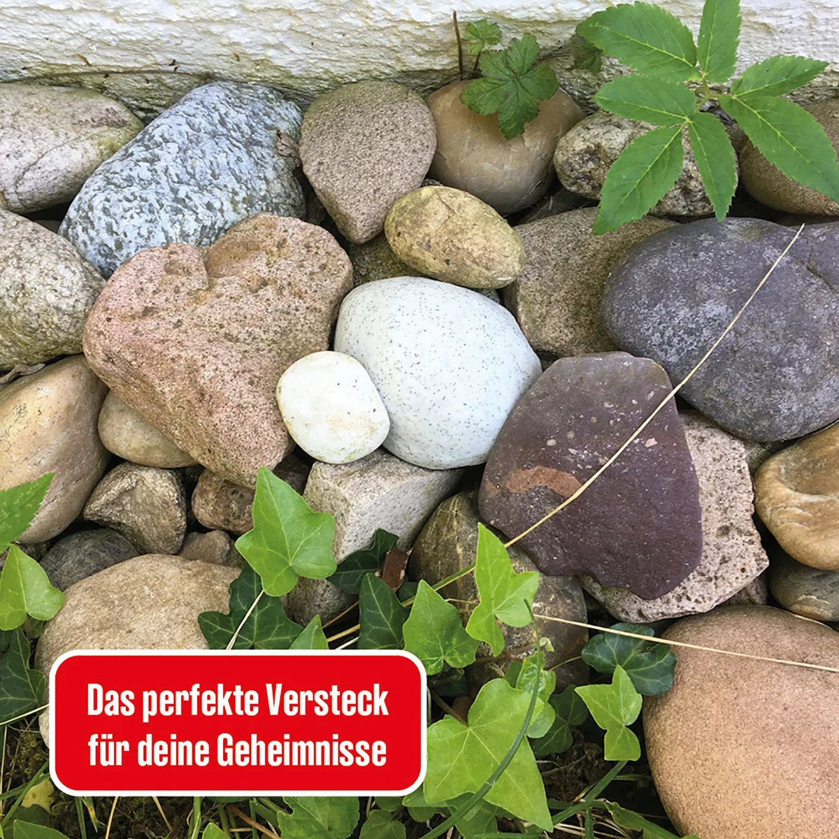Die drei ??? Geheimversteck (große Dose)